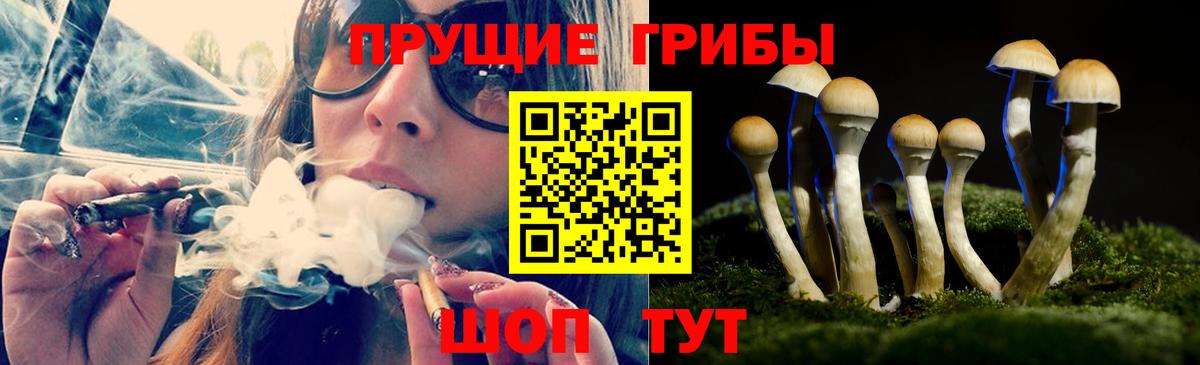 Галлюциногенные грибы GOLDEN TEACHER Химки